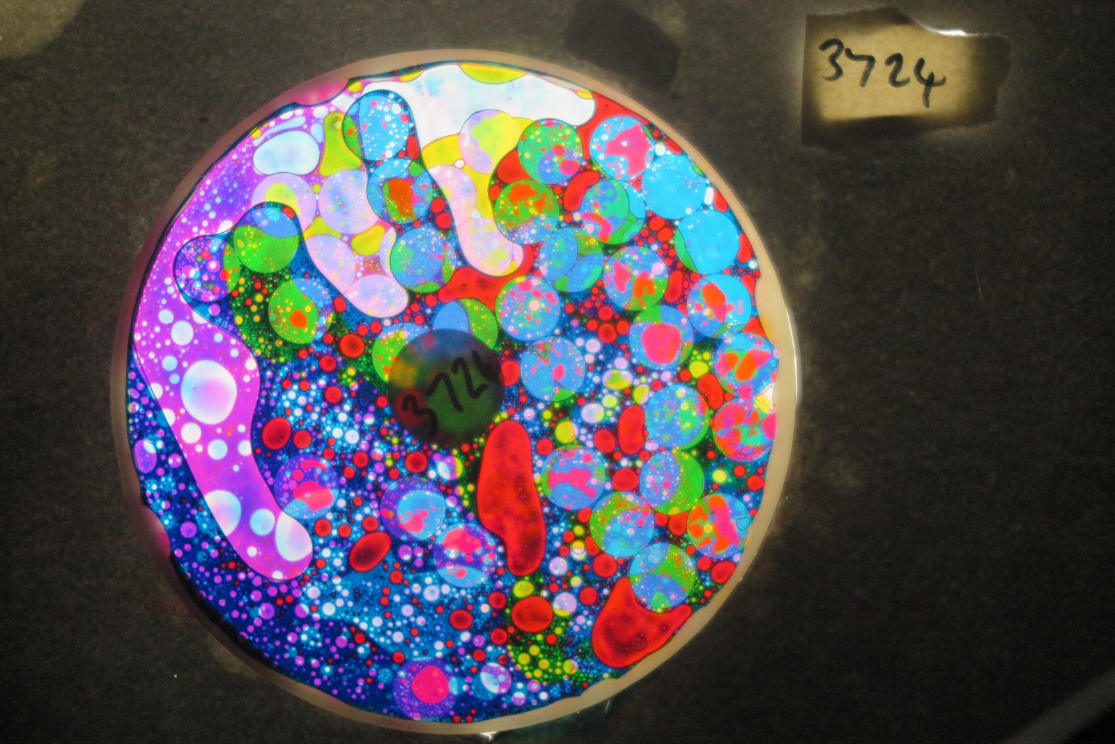 BV3724 bubble vision oil wheel